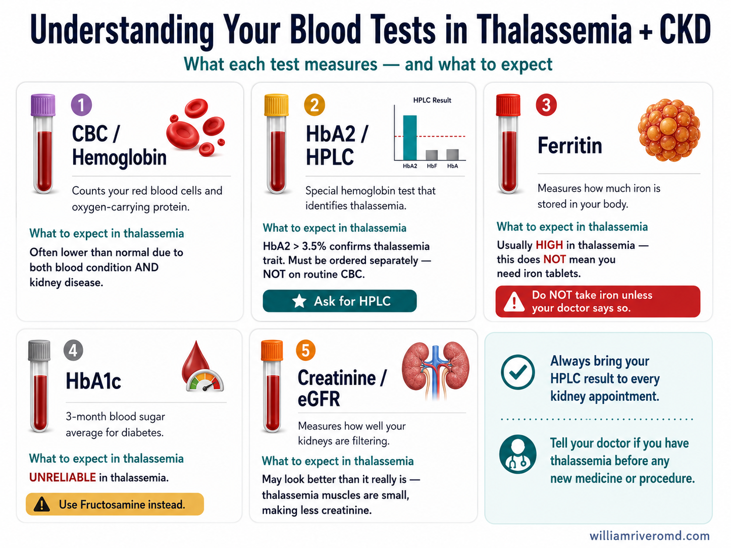 Six-card lab guide explaining CBC, HbA2/HPLC, ferritin, HbA1c, creatinine/eGFR, and a patient tip box — plain language for Filipino patients