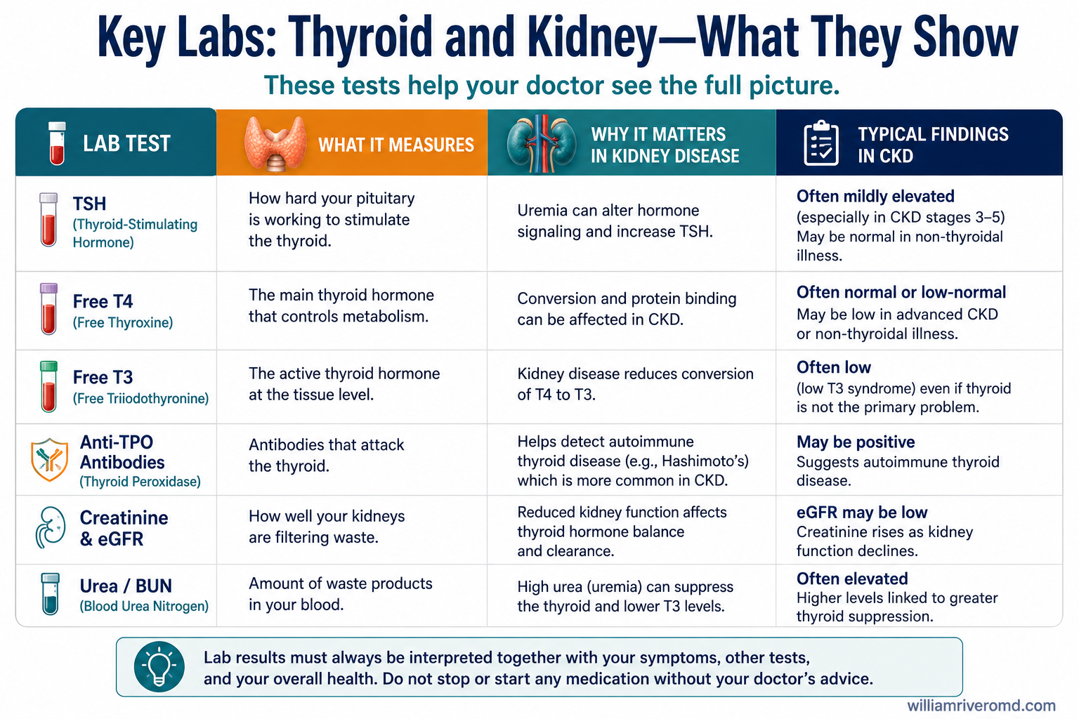 Clinical reference card: TSH, Free T4, Total T3, Anti-TPO interpretation pitfalls and guidance in CKD