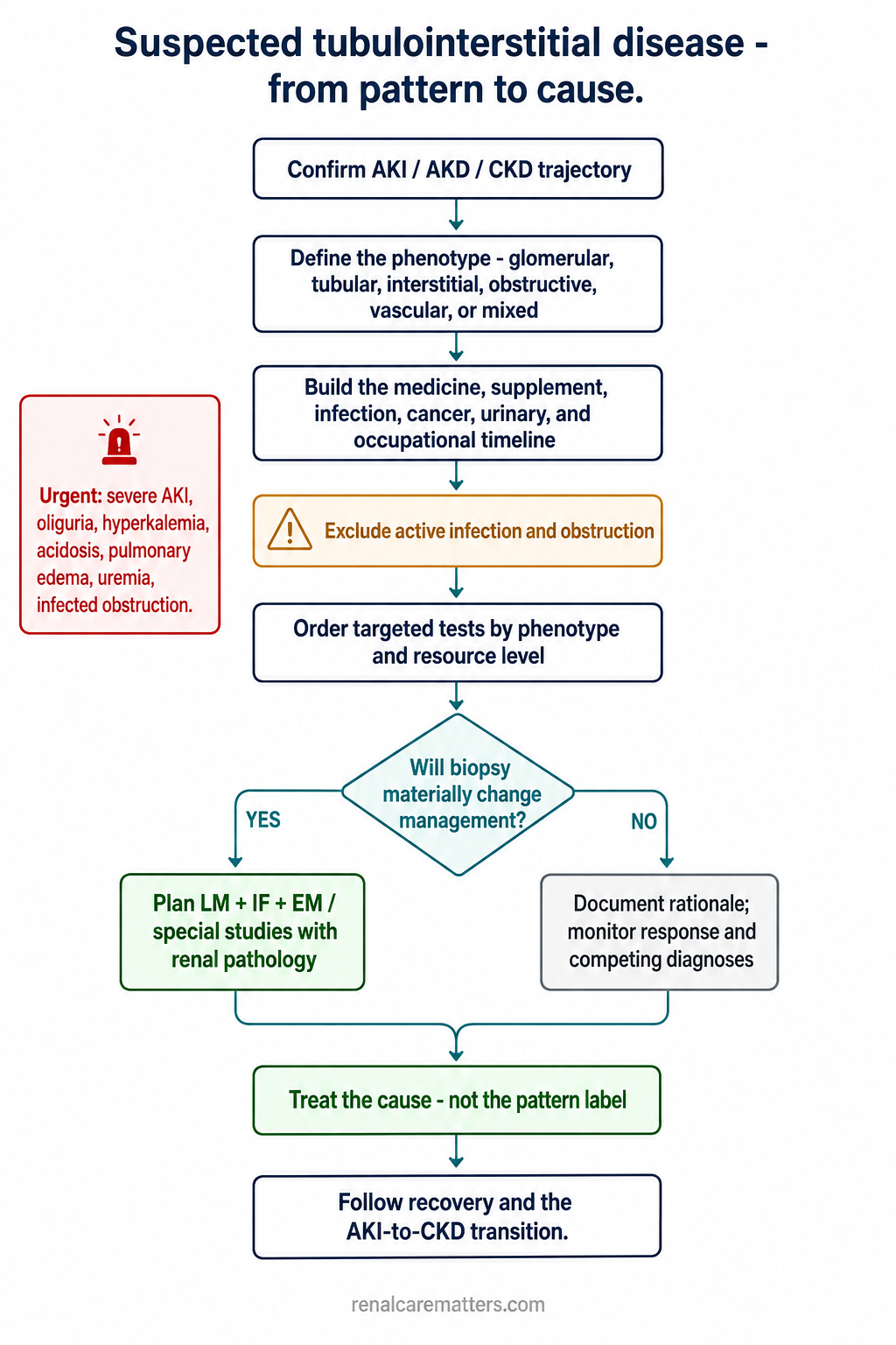 Vertical clinical algorithm from confirming the AKI/AKD/CKD trajectory through phenotype, exposure timeline, excluding infection and obstruction, targeted testing, a biopsy decision diamond, treating the cause, and following the AKI-to-CKD transition, with an urgent side-alert.