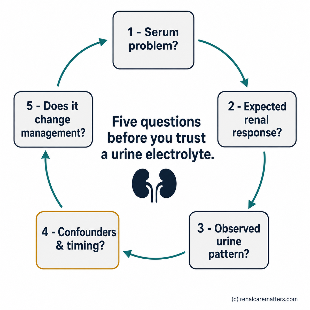 Circular five-question interpretation loop: serum problem → expected renal response → observed urine pattern → confounders and timing → does it change management, then looping back to the serum problem, with a small kidney glyph at the centre.