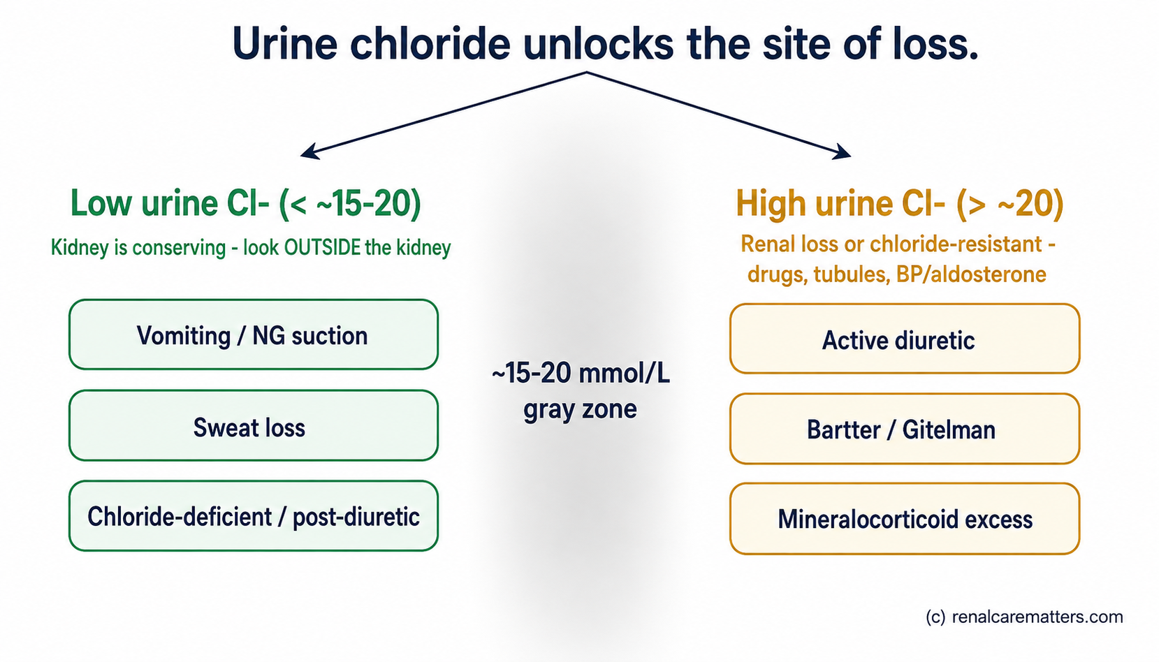 Two-pathway clinical diagram titled Urine chloride unlocks the site of loss. Left pathway, low urine chloride below about 15 to 20 millimoles per litre: the kidney is conserving chloride, so look outside the kidney (vomiting, nasogastric suction, sweat loss, chloride-deficient intake, post-diuretic phase). Right pathway, high urine chloride above about 20: ongoing renal loss or a chloride-resistant mechanism, so look at active diuretics, tubulopathies, and blood pressure or aldosterone. A shaded gray-zone band spans the threshold rather than a hard wall.