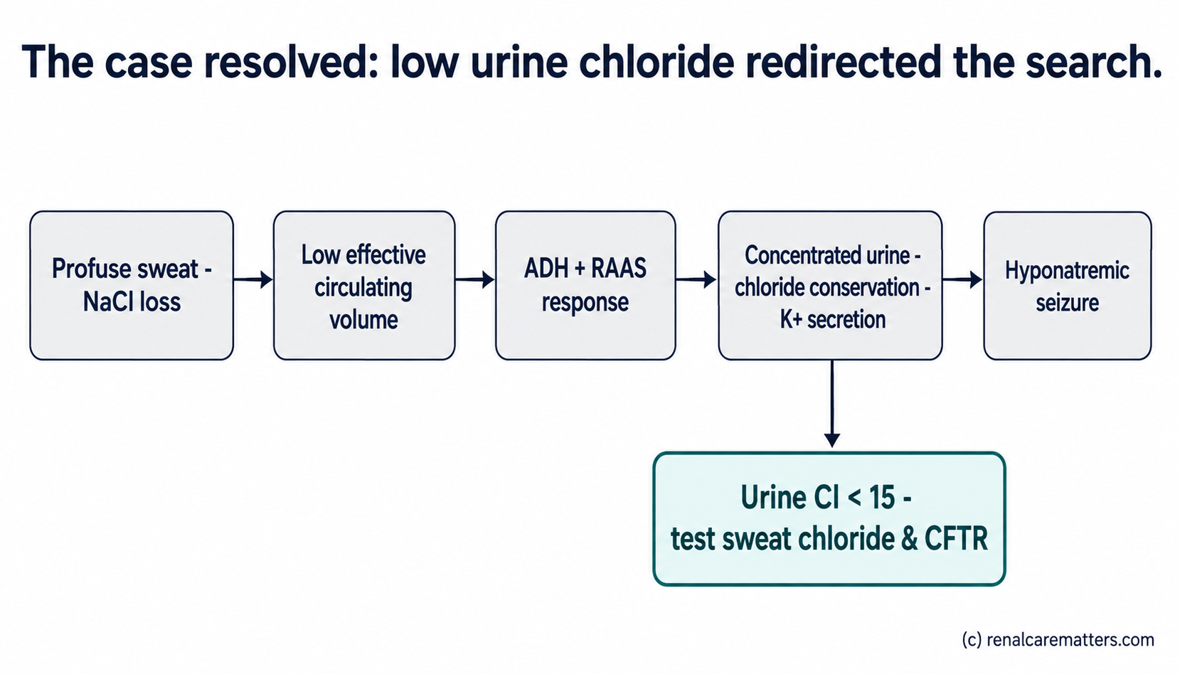 Case-resolution flow for the opening case: profuse sweat leads to extrarenal sodium-chloride loss, then low effective circulating volume, then an ADH and renin-angiotensin-aldosterone response, producing concentrated urine with chloride conservation and potassium secretion, ending in a hyponatremic seizure; a branch shows the low urine chloride redirecting the work-up to sweat-gland and CFTR testing.