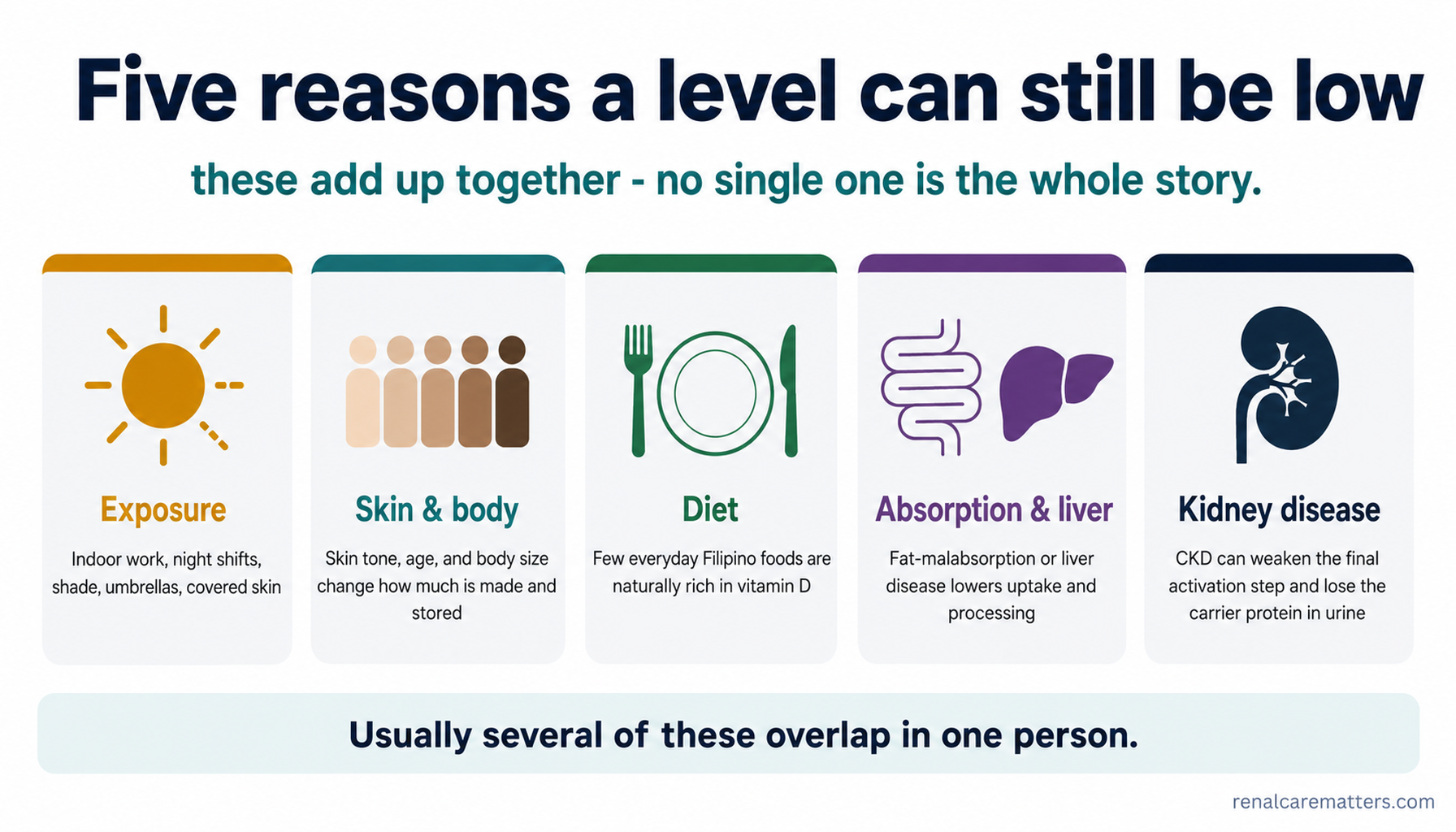 Five equal cards for why vitamin D can be low — exposure, skin and body, diet, absorption and liver, and kidney disease — shown as co-existing factors, not a ranking.