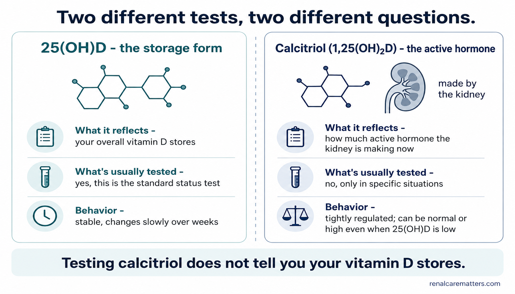 A two-column comparison: 25(OH)D is the stable storage form and the usual blood test, while calcitriol is the kidney-made active hormone that is not the routine test — testing calcitriol does not tell you your vitamin D stores.