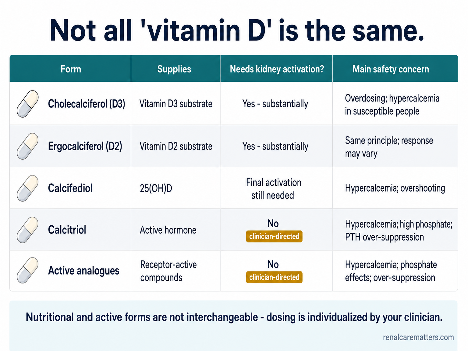 A reference table of vitamin D forms — cholecalciferol, ergocalciferol, calcifediol, calcitriol, and active analogues — showing which still need kidney activation and each form's main safety concern, with active forms marked clinician-directed.