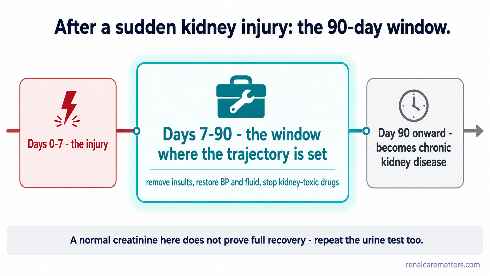 A timeline split into three bands: 0 to 7 days labeled injury, 7 to 90 days highlighted as the intervention window, and 90 days onward labeled chronic kidney disease.